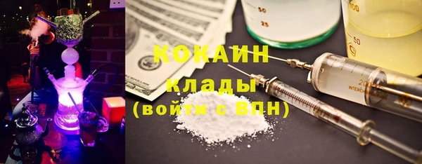 соль ск Инсар