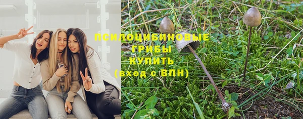 соль ск Иннополис