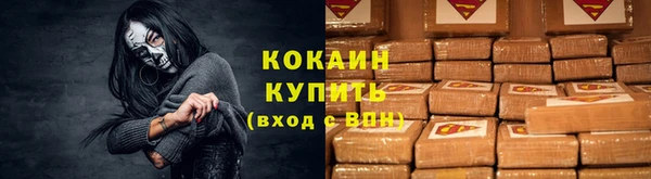 соль ск Инсар