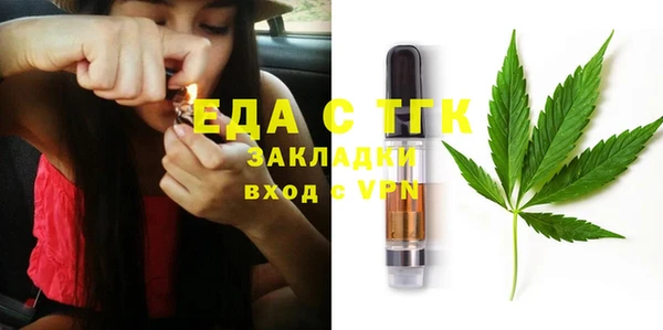 соль ск Инсар