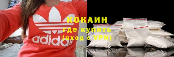 соль ск Инсар