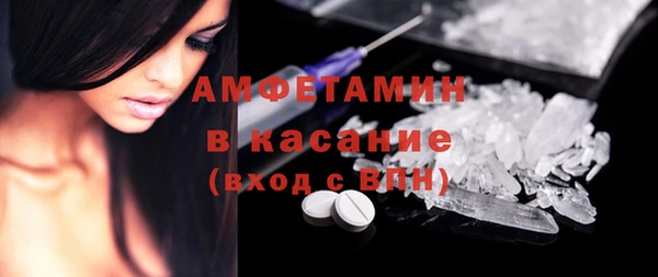 соль ск Инсар