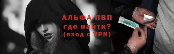соль ск Инсар