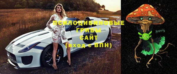 соль ск Иннополис