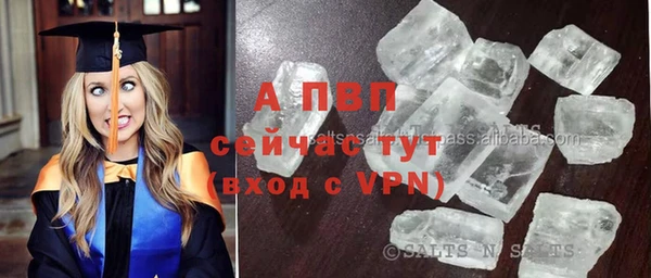 соль ск Инсар