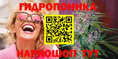 хмурый Донской