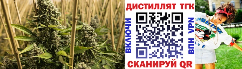 Дистиллят ТГК гашишное масло  где найти   кракен ONION  Советск 