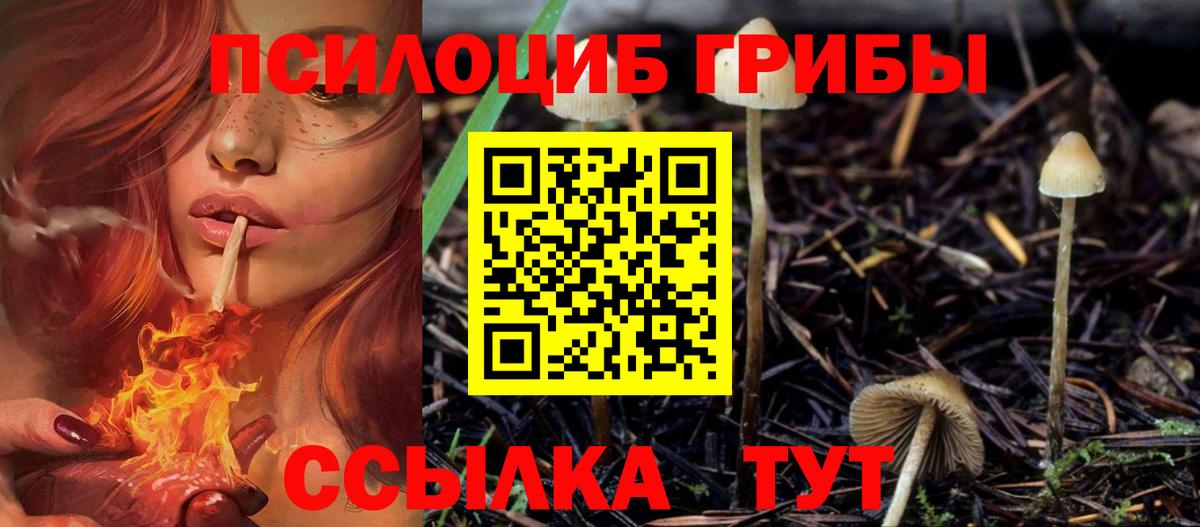 Галлюциногенные грибы Cubensis Советск